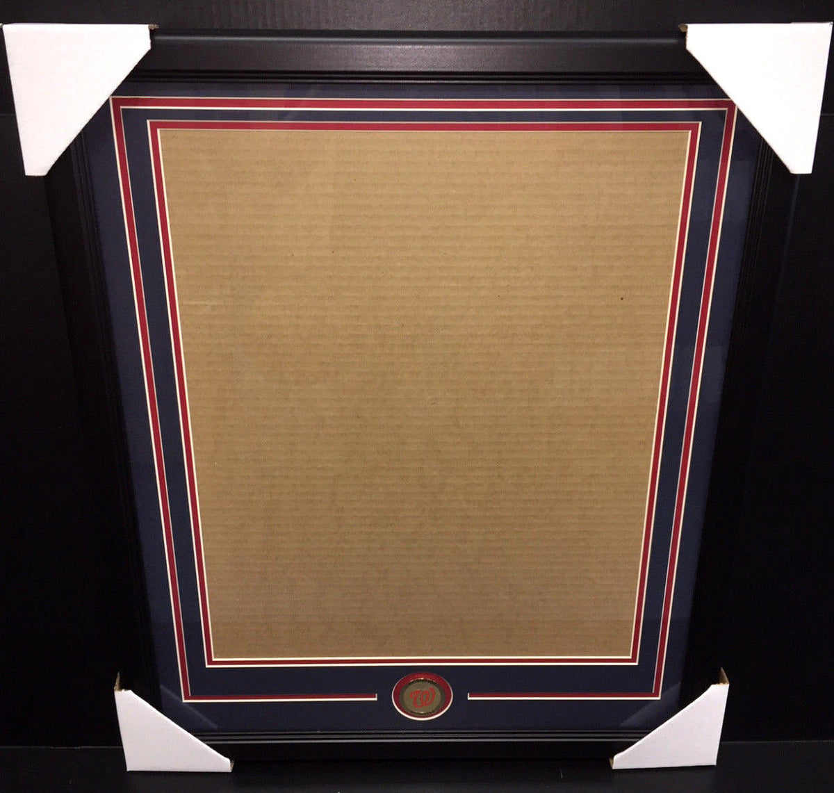 Washington Nationals Medallion Frame Kit 16x20 Double Mat Vertical